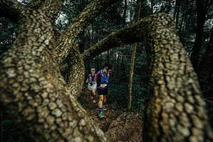 BIB: 
                            <button type="button" onclick="openModal(25703978)" class="btn btn-primary btn-sm float-right btn-popup" data-toggle="modal" data-target=".modal-high-quality">
                        <i class="fas fa-shopping-cart"></i> Add to Cart
                    </button>
                                            <button type="button" onclick="isThisMe(25703978, true)" class="btn btn-success btn-sm float-right btn-popup btn-isme hidden" data-toggle="tooltip" data-placement="bottom" title="นี่คือรูปของคุณใช่ไหม คลิกที่นี่เพื่อเอาเข้าอัลบั้ม">
                        <i class="fas fa-plus"></i> Add to album
                    </button>
                    <button type="button" onclick="isThisMe(25703978, false)" class="btn btn-warning btn-sm float-right btn-popup btn-isnotme hidden">
                        <i class="fas fa-ban"></i> Remove from album
                    </button>